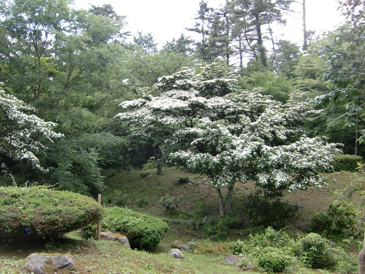 Hale Makawao Bed & Breakfast Daisen  Eksteriør bilde